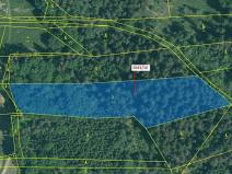 Dražba lesa, Stehlovice, 11078 m2