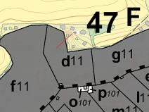 Dražba lesa, Sýkořice, 8962 m2