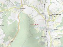 Dražba lesa, Spešov, 2643 m2