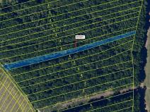 Dražba lesa, Archlebov, 2108 m2