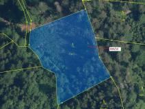 Dražba lesa, Jílové u Držkova, 3821 m2