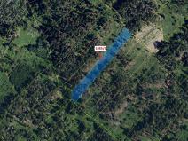 Dražba lesa, Veverské Knínice, 3926 m2