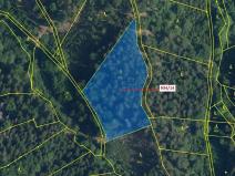 Dražba lesa, Jílové u Držkova, 5751 m2