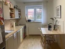 Pronájem bytu 2+1, Břeclav, Smetanovo nábřeží, 54 m2