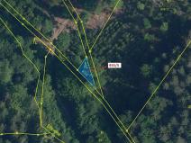 Dražba lesa, Jílové u Držkova, 88 m2