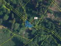 Dražba lesa, Jílové u Držkova, 151 m2