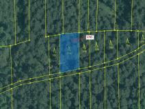 Dražba lesa, Borovany, 605 m2