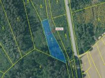 Dražba lesa, Budíškovice, 1580 m2