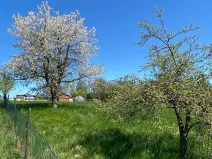 Prodej pozemku pro bydlení, Hamr na Jezeře, 3156 m2
