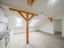 Pronájem bytu 2+kk, Praha - Nové Město, Václavské náměstí, 63 m2