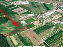 Prodej komerčního pozemku, Podivín, 3453 m2