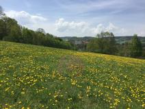 Prodej pozemku pro bydlení, Volyně, 6867 m2