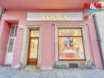 Pronájem obchodního prostoru, Plzeň - Vnitřní Město, Bedřicha Smetany, 116 m2