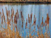 Prodej pozemku pro bydlení, Praha, 6104 m2