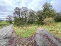 Prodej pozemku, Horní Dvořiště, 10042 m2