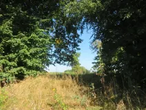 Dražba louky, Opatov, 2916 m2