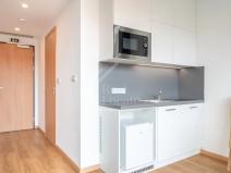 Pronájem bytu 1+kk, Praha - Holešovice, Tusarova, 19 m2