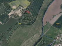 Prodej lesa, Smidary, 1435 m2