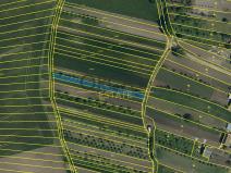 Prodej sadu/vinice, Vacenovice, 605 m2