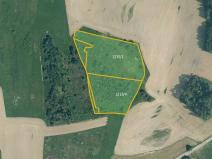 Prodej pole, Velký Bor, 34439 m2