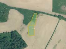 Prodej pole, Velký Bor, 45700 m2