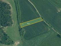 Prodej pole, Velký Bor, 45700 m2