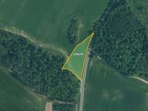 Prodej pole, Velký Bor, 45700 m2