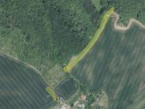 Prodej pole, Hoštice, 17754 m2