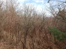 Prodej zahrady, Brno, 1700 m2