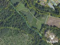 Prodej podílu lesa, Praha - Vokovice, 488 m2