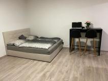 Pronájem bytu 1+kk, Brno, Křenová, 30 m2