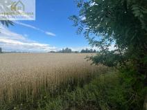 Prodej pozemku pro bydlení, Bezděkov, 633 m2