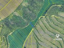 Prodej pole, Nosislav, 768 m2