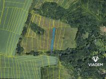 Prodej pole, Napajedla, 1666 m2