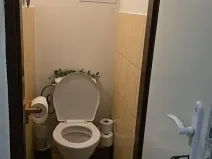 Pronájem pokoje, Praha - Holešovice, Bubenská, 17 m2