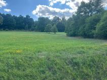 Prodej pozemku pro bydlení, Albrechtice nad Vltavou, 5665 m2