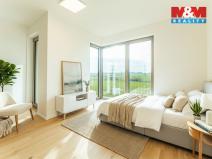 Pronájem bytu 1+kk, Brandýs nad Labem-Stará Boleslav - Brandýs nad Labem, Dřevčická, 38 m2