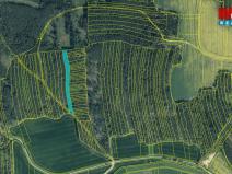 Prodej lesa, Koloveč, 13001 m2