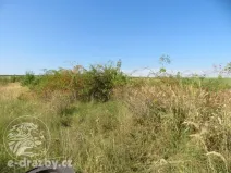 Dražba zahrady, Grunta, 689 m2