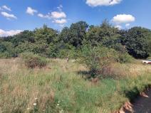 Pronájem zahrady, Líšnice, 7027 m2