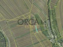 Prodej pole, Zdounky, 2140 m2