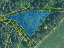 Dražba lesa, Kuřimany, 2947 m2