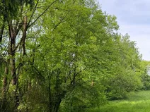 Prodej pozemku, Český Dub, 19364 m2