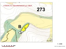 Prodej lesa, Okrouhlá Radouň, 2395 m2