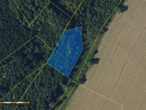 Prodej lesa, Česká Bělá, 2647 m2