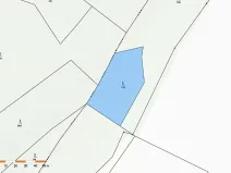 Prodej lesa, Česká Bělá, 2647 m2