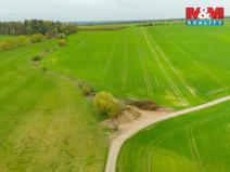 Prodej louky, Olešnice, 730 m2