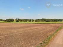 Prodej pole, Nikolčice, 10239 m2