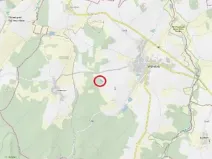 Prodej lesa, Vyskytná, 1907 m2