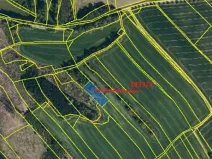 Prodej lesa, Vyskytná, 1907 m2